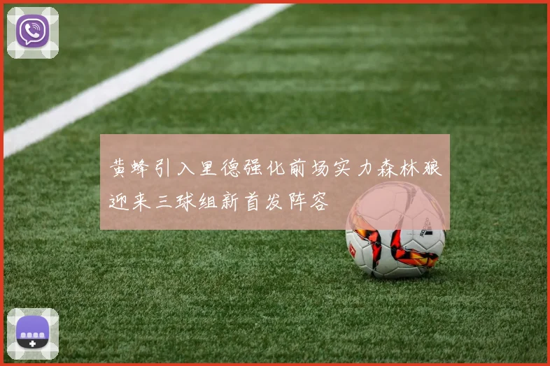 黄蜂引入里德强化前场实力森林狼迎来三球组新首发阵容