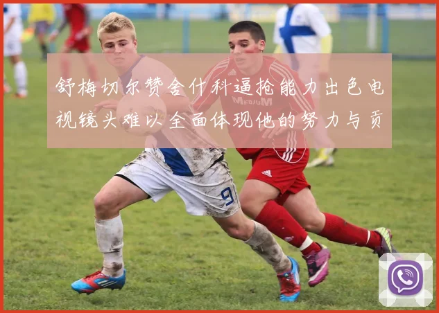 舒梅切尔赞舍什科逼抢能力出色电视镜头难以全面体现他的努力与贡献
